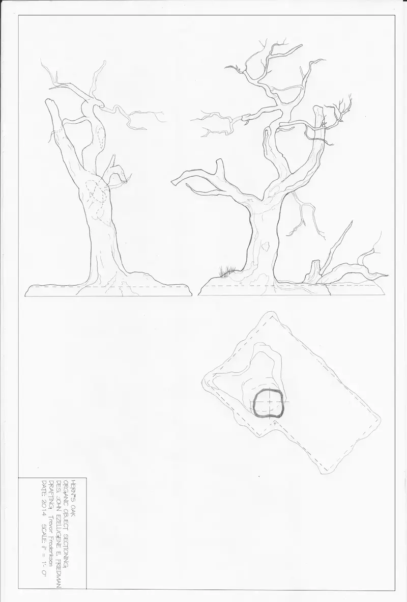 Scene 5